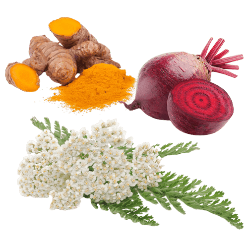 ProDentim Ingredients is Yarrow, Beetroot, Turmeric